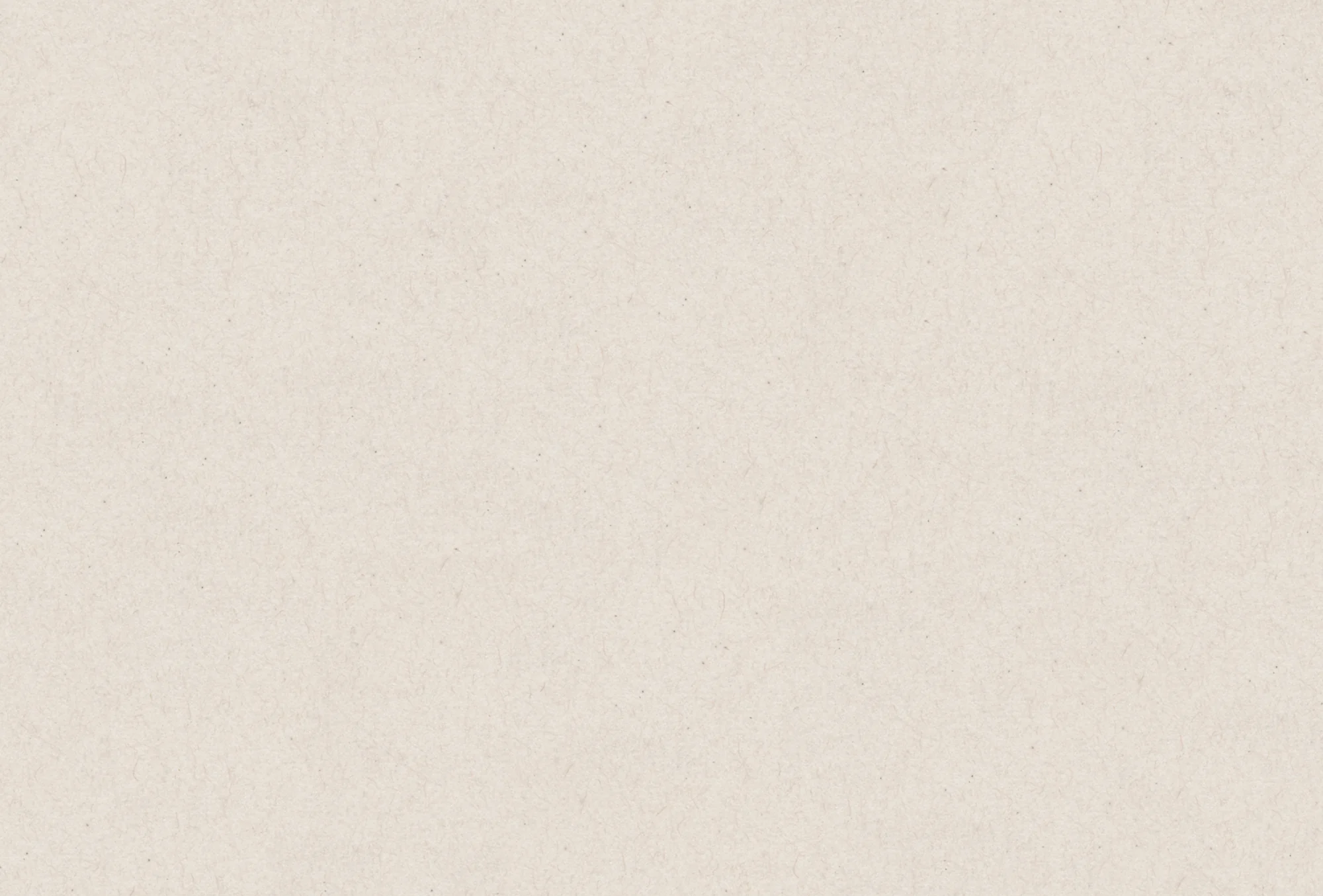 Exclusive Conan Gray Official Merch